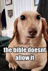 Homophobic dog Meme Template