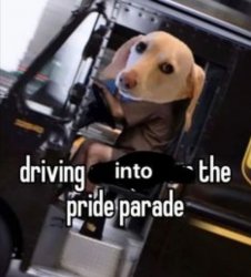 Homophobic dog Meme Template