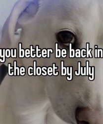 Homophobic dog Meme Template