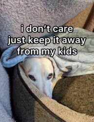 Homophobic dog Meme Template