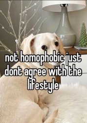 Homophobic dog Meme Template