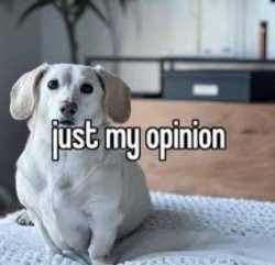 Homophobic dog Meme Template