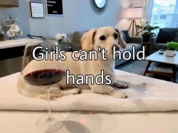 Homophobic dog Meme Template