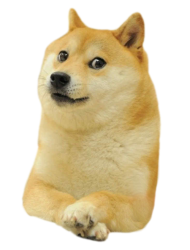 Doge png Meme Template