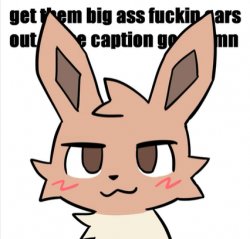 Boykisser Eevee Meme Template