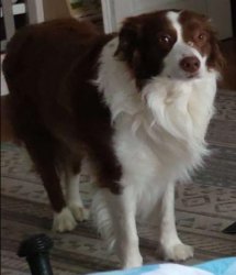 Castle Meme Template