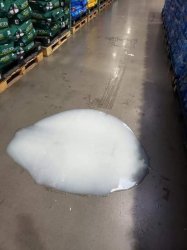 Blob Meme Template