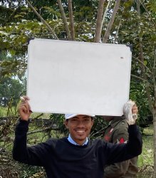 papan Meme Template