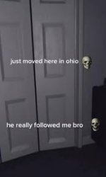 ohio Meme Template