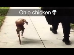 ohio Meme Template