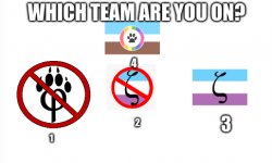 Which team are you on? Meme Template