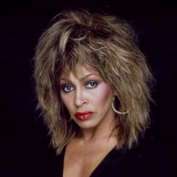 Tina turner rod stewart Meme Template