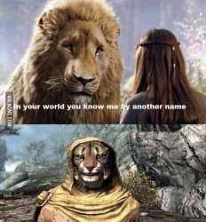 Why is Aslan like this Meme Template