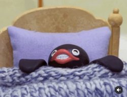 Sleeping pingu Meme Template