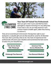 American Tree Service Wexford PA Meme Template