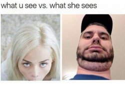 What he sees vs what she sees Meme Template