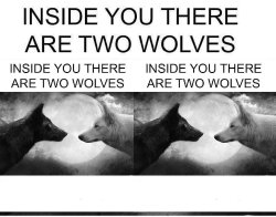 two wolves inception Meme Template