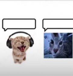 Cat speak Meme Template