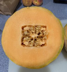 Genetically Modified Cantaloupe? Meme Template