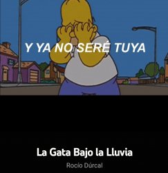 La Gata Bajo la Liuvia Homero Meme Template