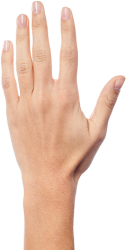 back of a hand Meme Template