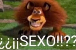 SEXO Meme Template