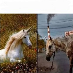 Unicorn vs dirty horse Meme Template