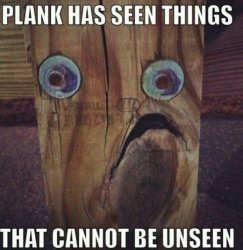 unseen plank Meme Template