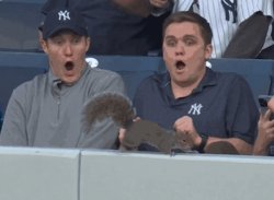 Baseball Squirrel Meme Template