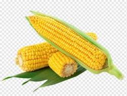 Corn Meme Template