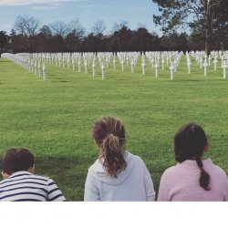 Normandy Graveyard Meme Template