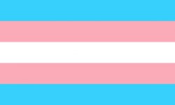 Transgender Flag Meme Template