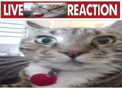 Live Toby Reaction Meme Template