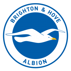Brighton and Hove Albion Meme Template