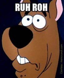 Scooby Do Ruh Roh JPP Meme Template