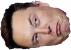 Musk Head Meme Template