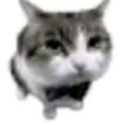 dripped out cat Meme Template