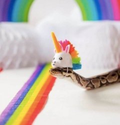 snake rainbow unicorn head Meme Template