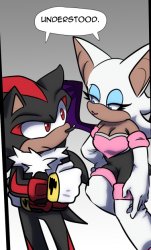 rouge and shadow understood Meme Template