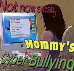 mommys cyberbullying Meme Template