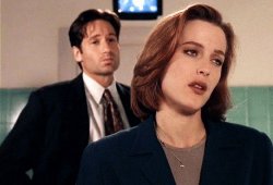 Mulder Stop Meme Template