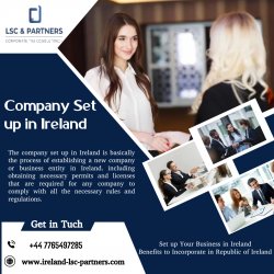 Company set up in Ireland Meme Template