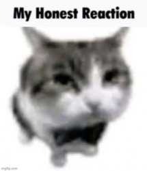 My honest reaction Meme Template