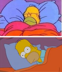 Homer sleeping vs can't sleep Meme Template