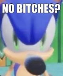 sonic no bitches Meme Template