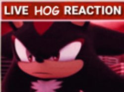 shadow live hog reaction Meme Template