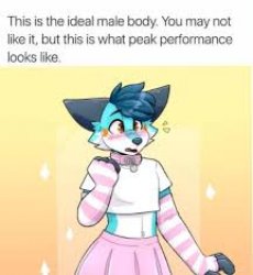 furry Meme Template