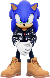 drip sonic Meme Template