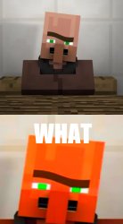 villager what Meme Template