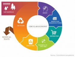 circular economy Meme Template